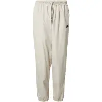 Nike Windrunner Pant Pantaloni da allenamento Uomo (M, grigio)