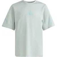 Adidas Kid's Z.N.E Tee T-shirt Bambini (176, grigio)