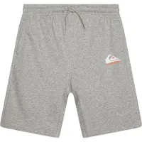 Quiksilver Kid's Easy Day Jogger Short Pantaloncini Bambini (14, grigio)