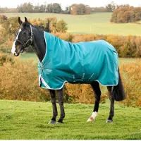 Horseware Amigo 1200D, coperta da paddock, modello Wug, 250g, colore verde "Storm", taglia 115