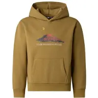 The North Face Boy's Mountain Night Relaxed Hoodie Felpa con cappuccio Bambini (S, marrone)