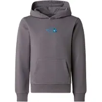 The North Face Boy's Liquid Logo Reg Hoodie Felpa con cappuccio Bambini (XS, grigio)