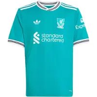 Adidas Maglia funzionale 'FC Liverpool 25-26' verde chiaro / nero / bianco