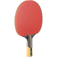 Dunlop Racchetta Da Ping Pong Revolution 5000