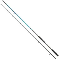 Daiwa Canna Spinning Spitfire Seabass