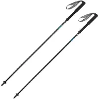 Gabel Bastoncini Carbon Feather-r
