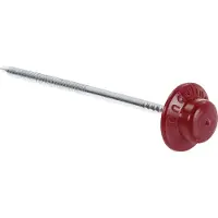 Onduline Chiodi per tetti Chiodi per tegole e pannelli murali 65 mm Testa rotonda rossa 100 pezzi