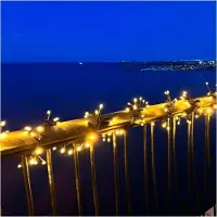 Sirius Home Tech-Line set di luci a grappolo 180 LED bianco caldo 3 m per esterni 230V nero