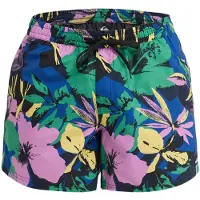 Quiksilver Everyday Printed Volley 15'' Pantaloncino da bagno Uomo (S, variopinto)