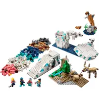 LEGO Kit di scienze: Animali dell'Artico