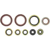 Holeshot Kit Di Guarnizioni Olio Ktm 2008-2011 450 Exc-f