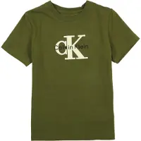 Calvin Klein Jeans Boys Monologo S/s T-shirt Rich Cypress Taglia: 16 | Giacche Outlet | Unisex