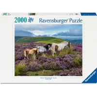 Ravensburger Puzzle Cavalli Selvaggi 2000p (12001751)