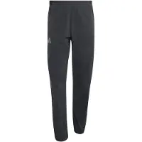 Adidas Pantaloni sportivi 'Terrex Xperior CLIMA365' grigio chiaro / nero