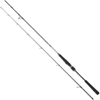 Daiwa Canna Spinning Saltist Seabass