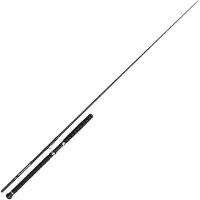 Penn Canna Baitcasting Prevail Iii Le Inline