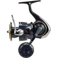 Daiwa Mulinello Da Jigging Saltiga G 2023