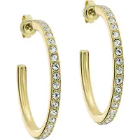 Ted Baker Orecchini 'CLANCI' oro