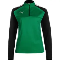 Puma Felpa sportiva 'TeamLiga' verde / nero / bianco