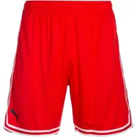 Puma Pantaloni Corti Hoops Team Game