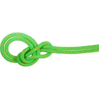 Mammut 9.5 Crag Dry Rope Corda intera (70 m, verde)
