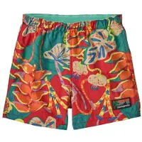 Patagonia Kid's Baggies Shorts Pantaloncini Bambini (3 Years, variopinto)