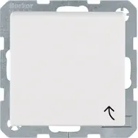 Berker SSD KLPD STECKKL PW MATT (47521909 S.1 IP44)