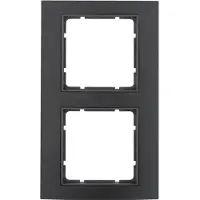 Berker FRAME 2F. SW/ANTHR. (10123005 B.3)