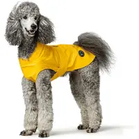 Hunter Cane mackintosh Milford, taglia:50 cm, colore:giallo