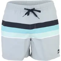 Quiksilver Everyday Printed Volley 15'' Pantaloncino da bagno Uomo (S, blu)