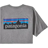 Patagonia P-6 Logo Responsibili-Tee T-shirt Uomo (XL, grigio)