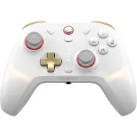 GameSir Controller Per Nintendo Switch Cyclone 2 Daybreak