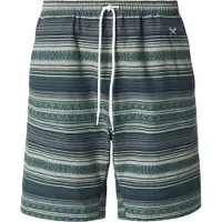 Iriedaily Vintachi Short Pantaloncini Uomo (L, grigio)