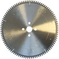 Leja Tools Disco Per Sega Circolare In Metallo Atm-ne-neg.3003096 300x30 Mm
