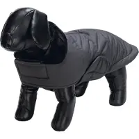 Designed By Lotte Giacca Per Cani Zhanti