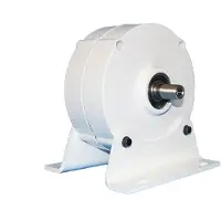OEM Generatori eolici, Design senza ingranaggi, Tecnologia a magneti permanenti, 12V, Albero singolo, Con base