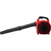 StarTech.com Soffiatore a benzina - Soffiatore portatile a 2 tempi - Elevata potenza di soffiaggio per giardino e cortile - Portatile, ideale per l'autunno e l'inverno - Rosso e nero