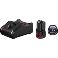 Bosch Set di alimentazione (1 x 12V 2,0 Ah + GAL12V-40)