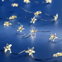 Spetebo 1.01 Filo per luci fiabesche con 100 stelle LED - Lunghezza circa 4,95 m - Stella decorativa per luci fiabesche (100 LED / 4,95 m)