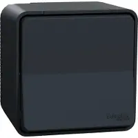 Schneider Electric Interruttore Mureva Styl Va et Vient sauvant IP55 IK08 gamma di interruttori grigi efficienza robusta