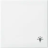 Busch-Jaeger 2520 LI-914 Bilanciere con impronta Light Balance SI bianco alpino