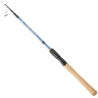 Daiwa Canna Spinning Laguna Tele