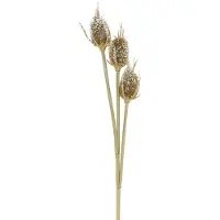 Viana Ramo di cardo fiore artificiale glassato marrone 90cm decorazione carta cardo 3 teste