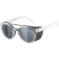 Alpina sport Glace S3 Occhiali da ghiacciaio grigio