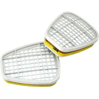 3M Filtro Per Gas E Vapore /2Pz + Formaldehyd 3M6075 A1