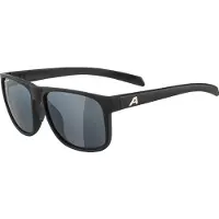 Alpina Nacan III Mirror Cat. 3 Occhiali da sole grigio