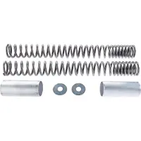 Wirth Federn Molle Per Forcella Progressive GSX 1400