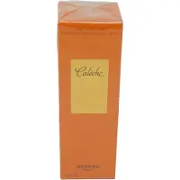 Hermès Paris Hermès Calèche Soie de Parfum 100ml — Eau de Parfum Donna