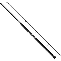 Shimano Fishing Canna Spinning 25grappler Type C