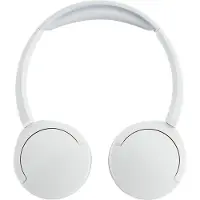 Panasonic Cuffie Wireless Rb-hf630be-w
